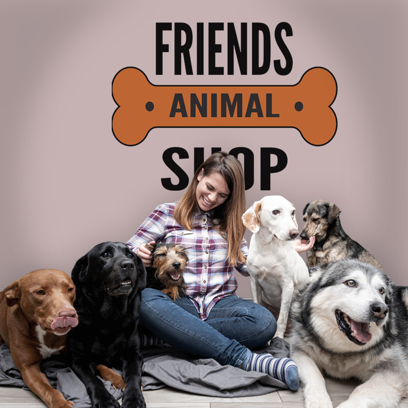 Αυτοκόλλητο Τοίχου - Friends Animal Shop
