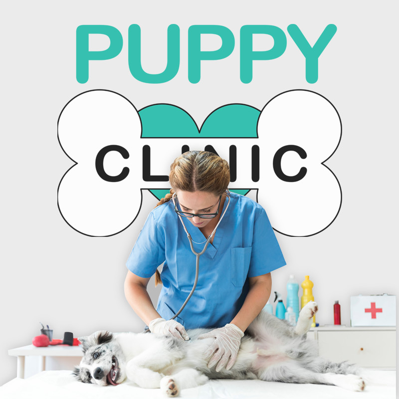 Αυτοκόλλητο Τοίχου - Puppy Clinic