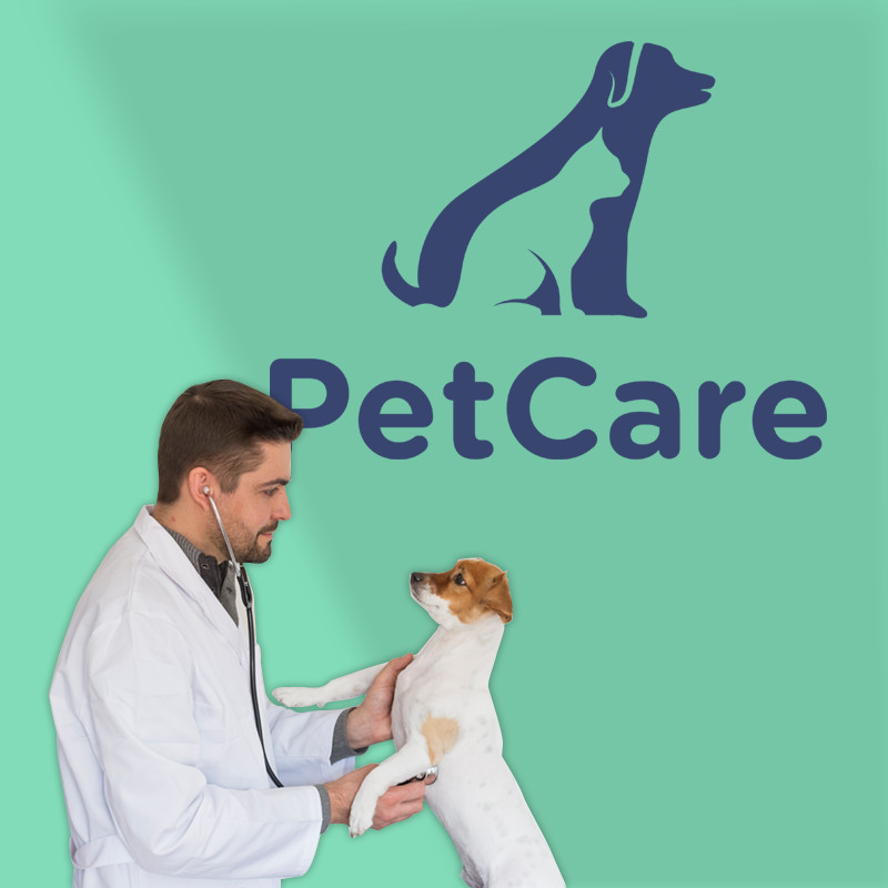 Αυτοκόλλητο Τοίχου - Pet Care, Dog & Cat