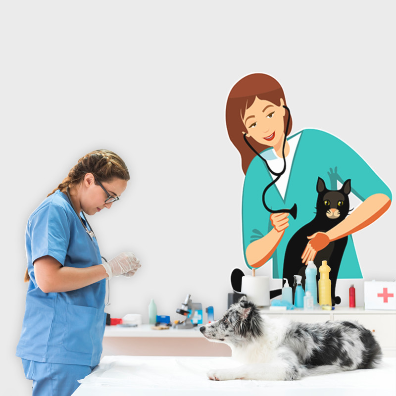 Αυτοκόλλητο Τοίχου - Κτηνίατρος που Εξετάζει Γάτα