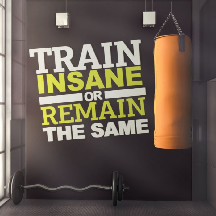 TRAIN INSANE