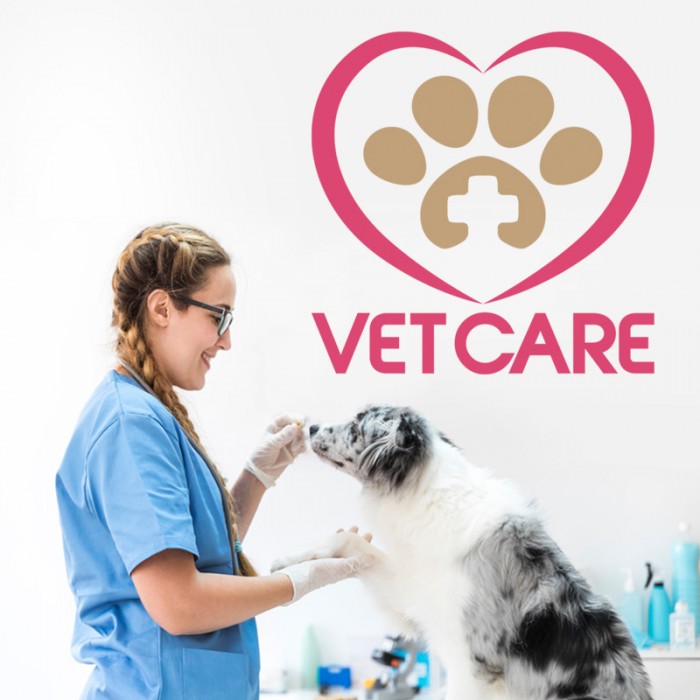 Αυτοκόλλητο Τοίχου - Vet Care