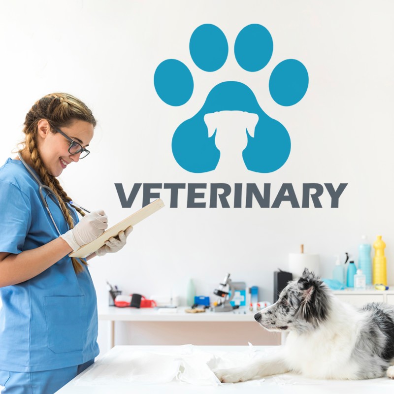 Αυτοκόλλητο Τοίχου - Veterinary, Puppy