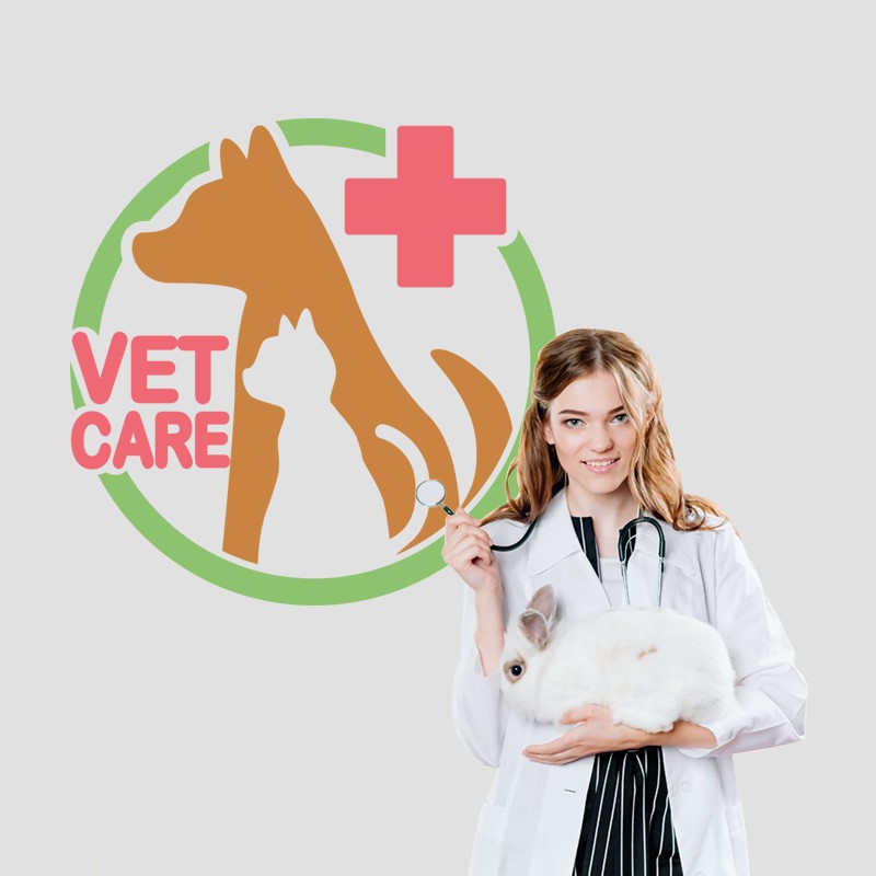 Αυτοκόλλητο Τοίχου - Vet Care, Dog & Cat