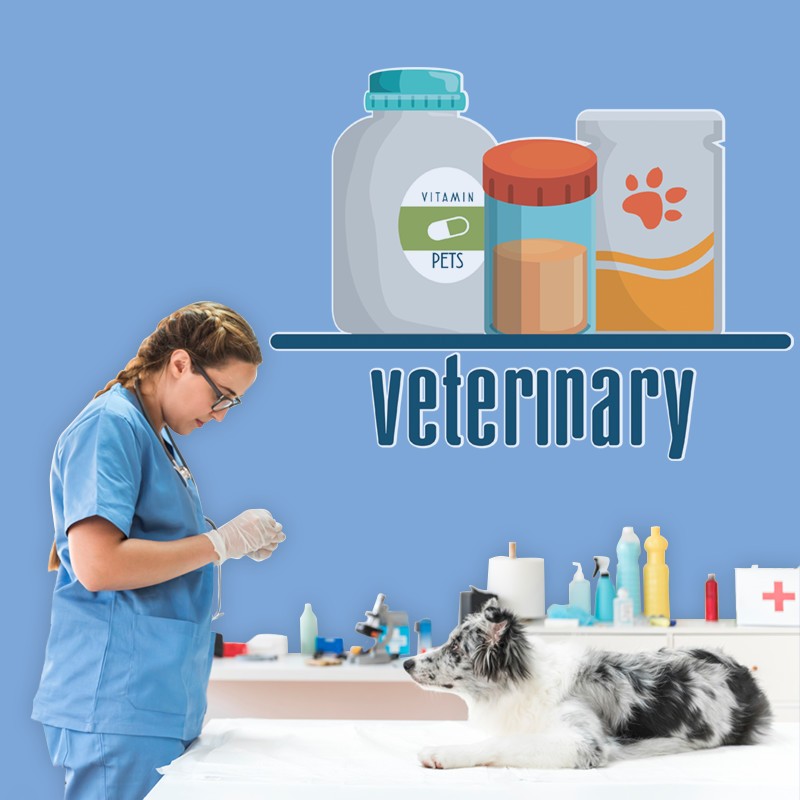 Αυτοκόλλητο Τοίχου - Veterinary, Vitamin Pets